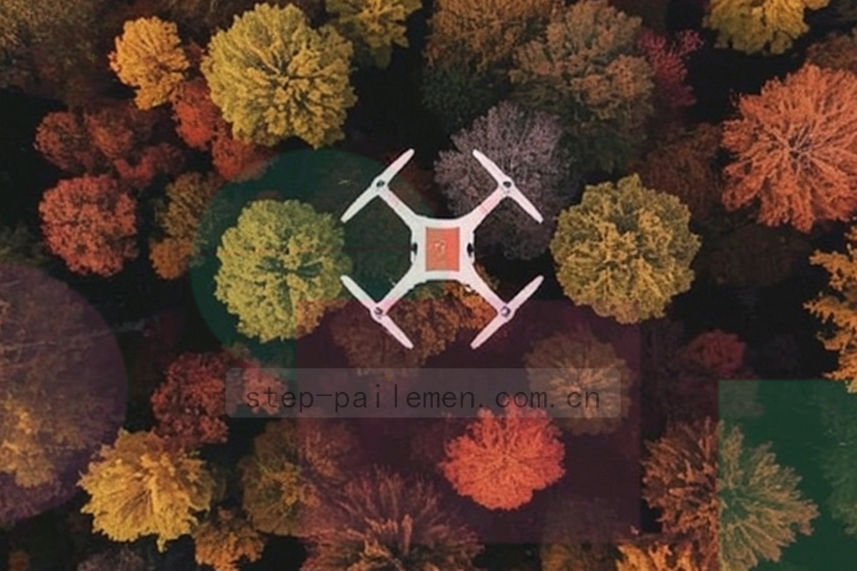 中心节点向外连接多个站点的网络关系图，节点用不同颜色区分行业
